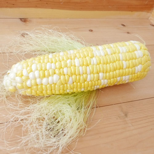 甘々娘(かんかんむすめ)  わずか２週間限定出荷のプレミアムバイカラースイートコーン 生で食べれてヒゲも美味しい  山梨県産