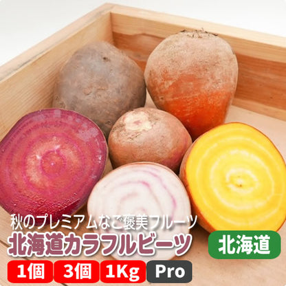 北海道ビーツ 赤・黄・うずまき 色指定もできる栄養満点のスーパーフード野菜 北海道産