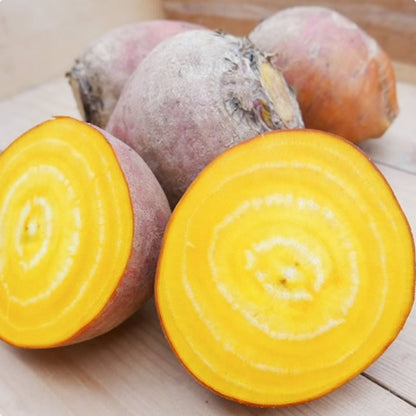 北海道ビーツ 赤・黄・うずまき 色指定もできる栄養満点のスーパーフード野菜 北海道産