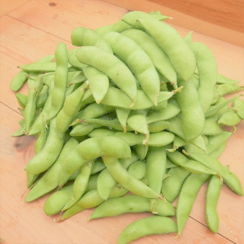 新潟枝豆 ５００ｇ程度 エコファーマー認定生産者が作る甘味とコク 新潟県産