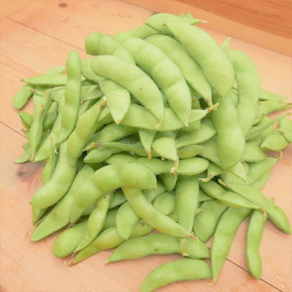 新潟枝豆 ５００ｇ程度 エコファーマー認定生産者が作る甘味とコク 新潟県産