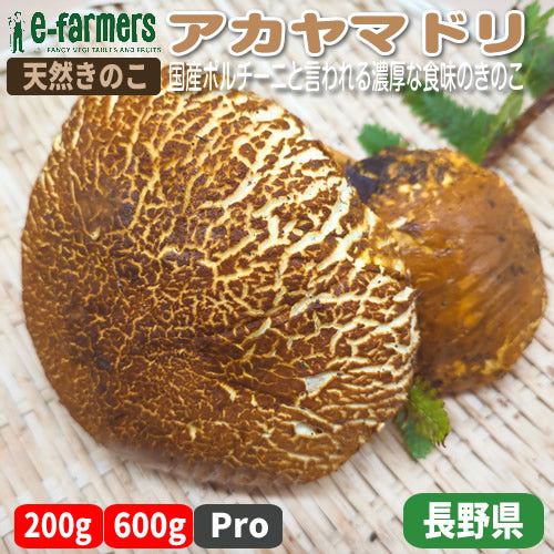 天然きのこ – イーファーマーズ