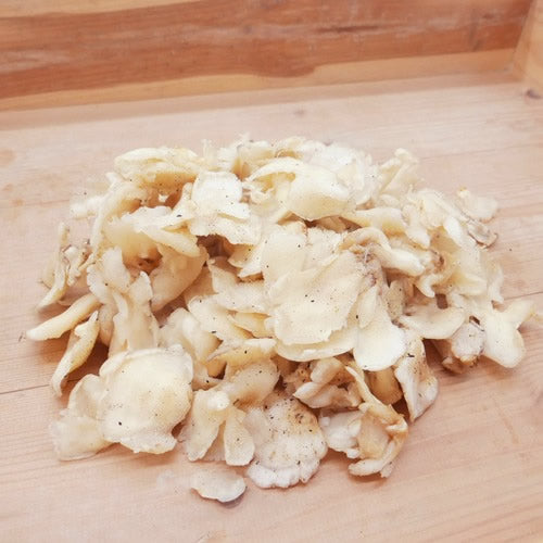 天然きのこ ブナハリタケ | 森が育てたやさしい旨みと歯ざわりが抜群 秋田県産