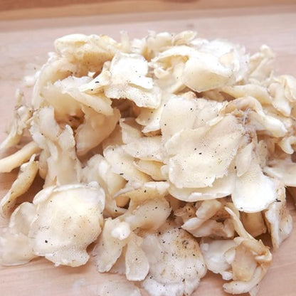 天然きのこ ブナハリタケ | 森が育てたやさしい旨みと歯ざわりが抜群 秋田県産