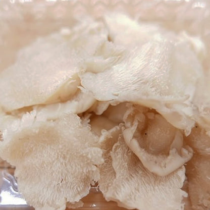 天然きのこ ブナハリタケ | 森が育てたやさしい旨みと歯ざわりが抜群 秋田県産