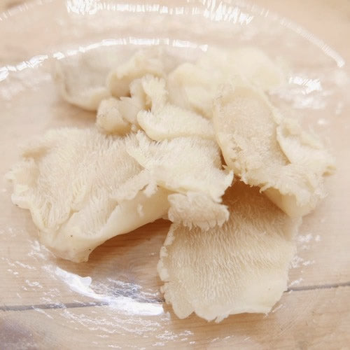 天然きのこ ブナハリタケ | 森が育てたやさしい旨みと歯ざわりが抜群 秋田県産