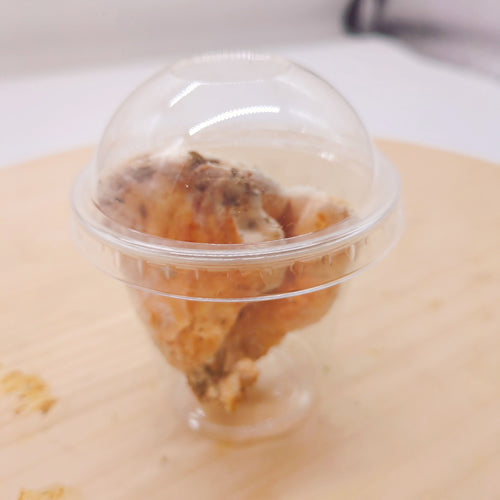 天然きのこ マスタケ(真茸)｜鮮やかなオレンジ色と独特の旨味　長野県産