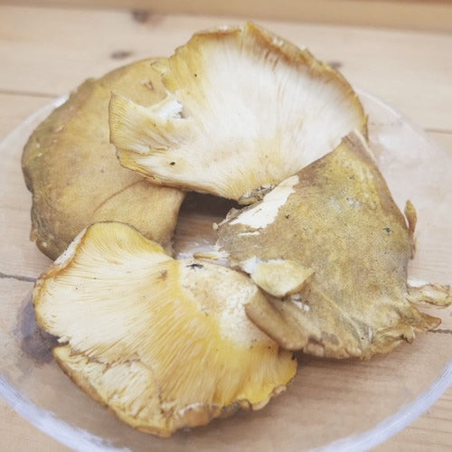 天然きのこ ムキタケ(剥茸)  | プルンとした食感と豊かな香りが魅力の秋きのこ　秋田県・長野県産