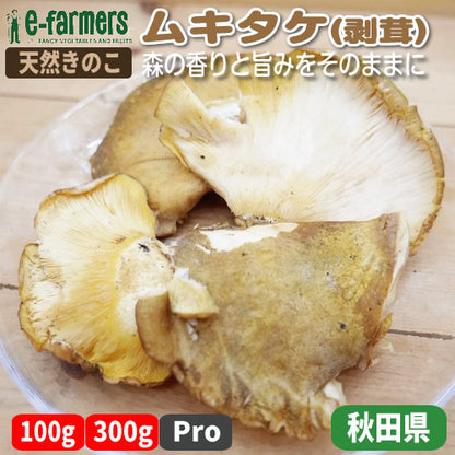 天然きのこ ムキタケ(剥茸)  | プルンとした食感と豊かな香りが魅力の秋きのこ　秋田県・長野県産