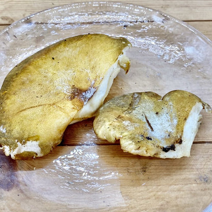 天然きのこ ムキタケ(剥茸)  | プルンとした食感と豊かな香りが魅力の秋きのこ　秋田県・長野県産