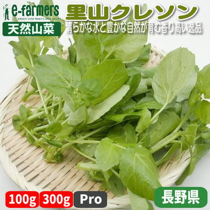 天然山菜 里山クレソン |  長野の清流が育んだ野生の滋味 驚きの香りと辛み 肉料理やサラダに 長野県産