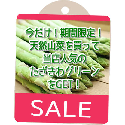 天然極上山菜 コゴミ 信州里山の達人厳選収穫 軽いぬめりと独特の歯ごたえ  今だけ当店人気の太いグリーンアスパラ３本付き 長野県産