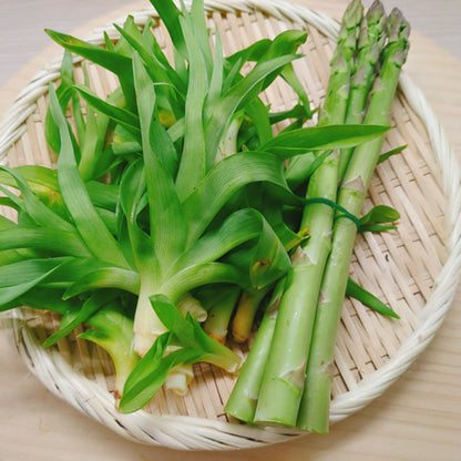 天然薬草山菜 カンゾウ  信州里山の達人厳選収穫 鮮やかな緑色と独特のぬめりが特徴 長野県産