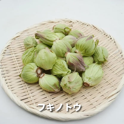 仲春の天然山菜 フキノトウと田セリ・芽アサツキなどから３種のおまかせセット ３月が旬の山菜 秋田県・長野県産