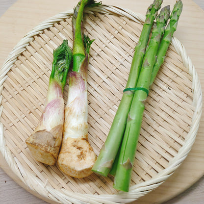 天然山菜 ヤマウド 山の幸 食べ方無限大 豪雪地帯で自生した天然もの  今だけ当店人気の太いグリーンアスパラ３本付き 長野県産