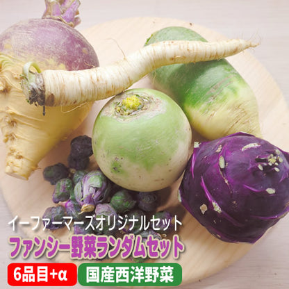 ファンシー野菜ランダムセット ６品目+α プロご用達野菜の今だけセット 国産西洋野菜