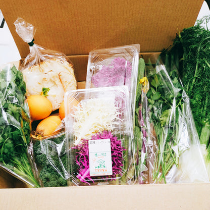 香りの西洋野菜セットＢ 送料無料 春の稀少なケール・ハーブ・菜花・セロリ・パセリ・かぶ類セット 福岡県他国産