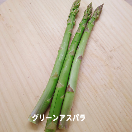 春の４種の【訳あり規格外】野菜セット 送料無料 裂け目,カット,シワ等有 国産品