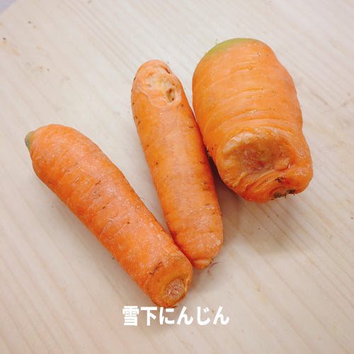 春の４種の【訳あり規格外】野菜セット 送料無料 裂け目,カット,シワ等有 国産品