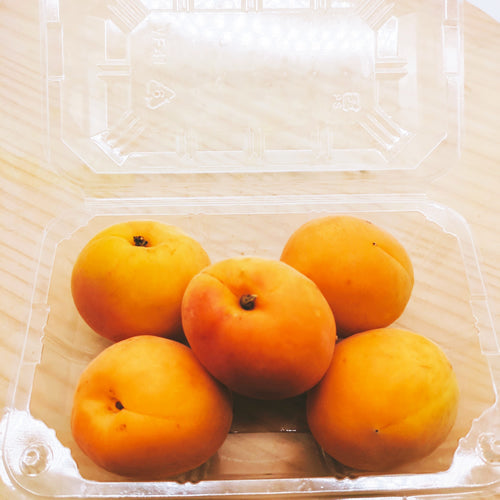 フレッシュあんず ハーコット　抜群の甘さを誇るプレミアムアプリコット 長野県産