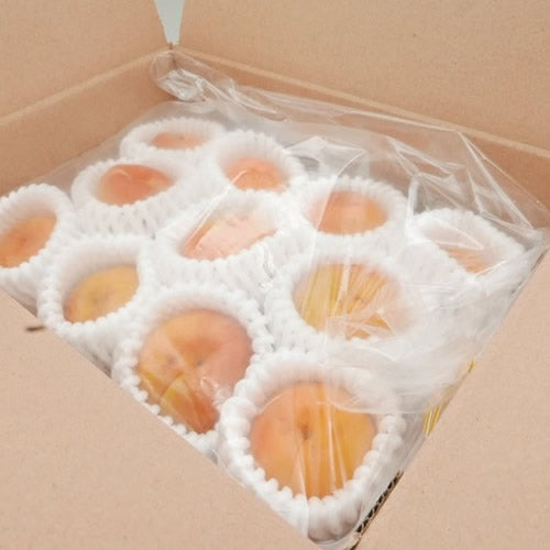 フレッシュあんず ハーコット　抜群の甘さを誇るプレミアムアプリコット 長野県産