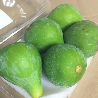 青いちじく キング | いちじく 幻のイチジク 熟練バイヤー厳選 佐賀県産
