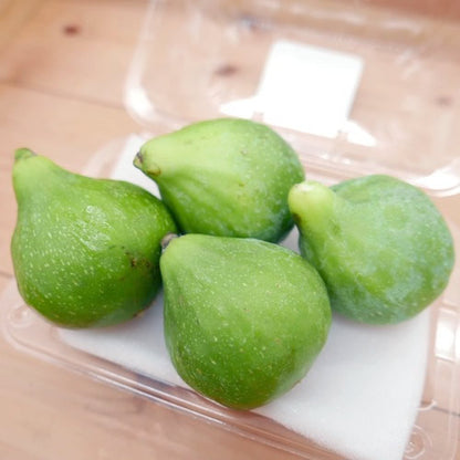 青いちじく キング | いちじく 幻のイチジク 熟練バイヤー厳選 佐賀県産