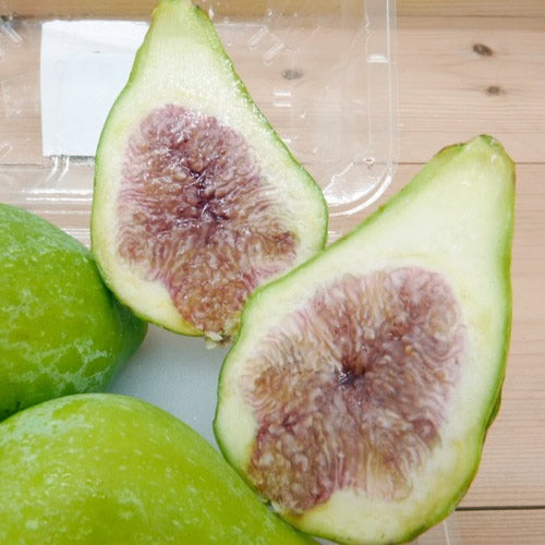 青いちじく キング | いちじく 幻のイチジク 熟練バイヤー厳選 佐賀県産