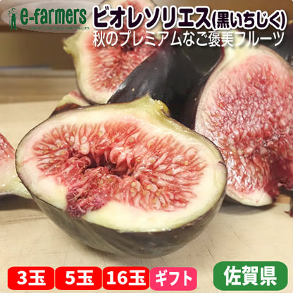 ビオレソリエス |【幻の黒いちじく】国内元祖 佐賀県産 蜜のように濃厚！生の極上食感＆贅沢ドライセットも