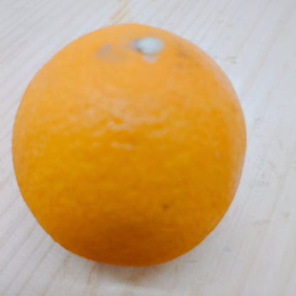 春まどんな