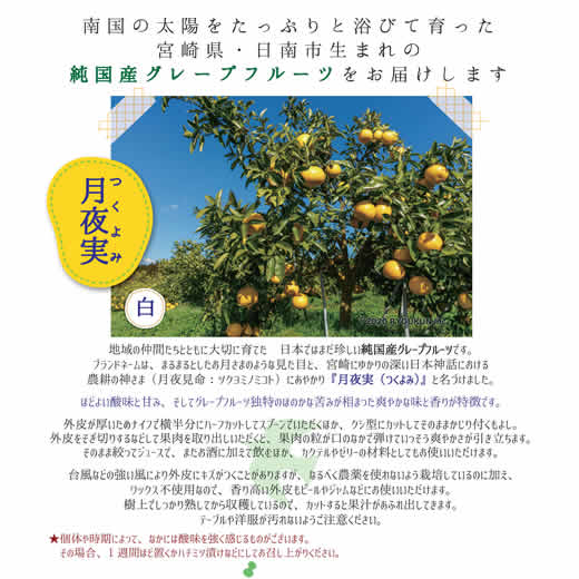 月夜実(つくよみ)  純国産プレミアムグレープフルーツ 安心の減農薬・ノーワックス 南国の爽やかな味と香り 宮崎県産