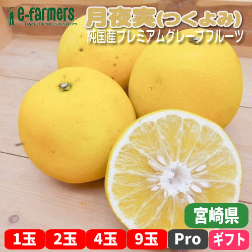 月夜実(つくよみ)  純国産プレミアムグレープフルーツ 安心の減農薬・ノーワックス 南国の爽やかな味と香り 宮崎県産