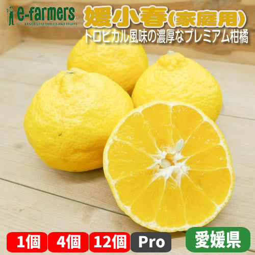 媛小春(ひめこはる) | 見た目を裏切る衝撃の甘さと爽快な香り 今だけ味わえる黄金のスイーツ 愛媛県産