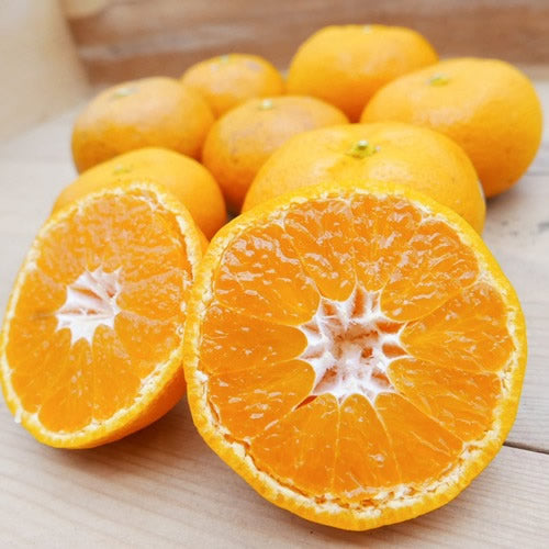 ミツバチみかん | 太陽とミツバチが育てた濃い甘みと香りが自慢のみかん 宮崎県産