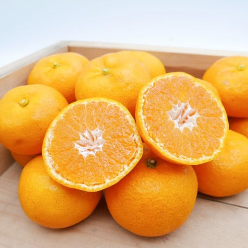 ミツバチみかん | 太陽とミツバチが育てた濃い甘みと香りが自慢のみかん 宮崎県産