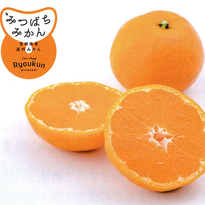 ミツバチみかん | 太陽とミツバチが育てた濃い甘みと香りが自慢のみかん 宮崎県産