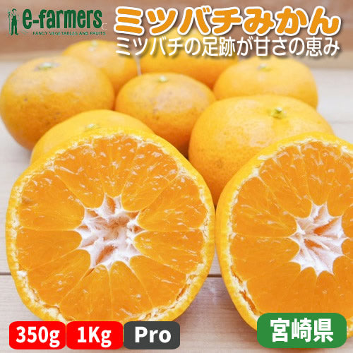 ミツバチみかん | 太陽とミツバチが育てた濃い甘みと香りが自慢のみかん 宮崎県産