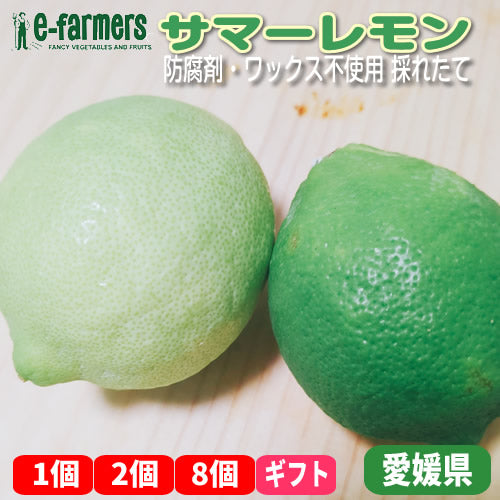 国産 サマーレモン | 防腐剤・ワックス不使用 採れたて 夏レモン 希少 愛媛県いわぎ島産