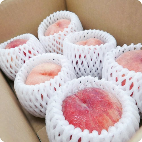 川中島白桃 お好み食感で楽しめる大きめサイズのフレッシュピーチ 岩手県産