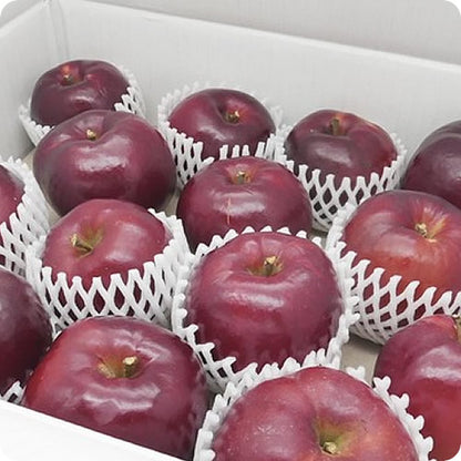 紅の夢(くれないのゆめ) | 赤果肉りんご 希少ロット・映える濃紅色フルーツ 岩手県産