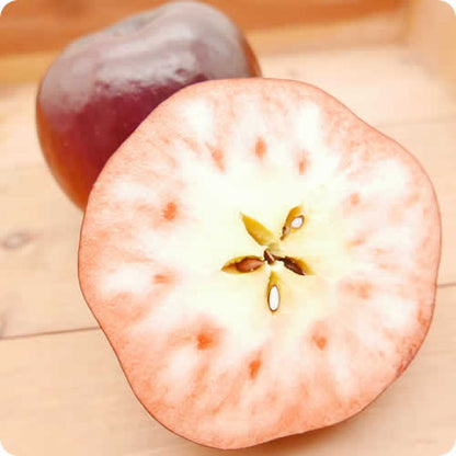 紅の夢(くれないのゆめ) | 赤果肉りんご 希少ロット・映える濃紅色フルーツ 岩手県産