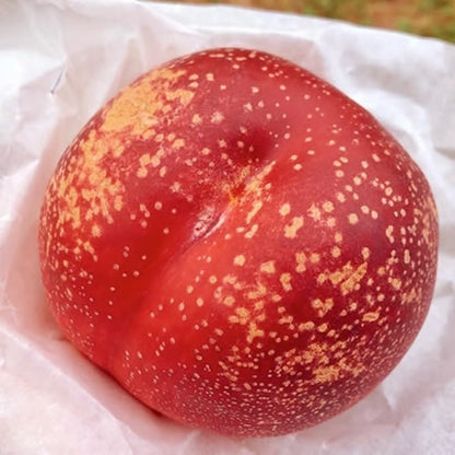 モモネク ハネージュ |  極甘 糖度20度超え 濃厚な甘さ 皮ごと食べられる 希少品種 数量限定 岩手県産