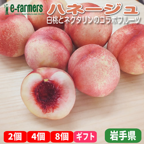 モモネク ハネージュ 皮ごと食べられる蜜のような甘さの高級フルーツ 岩手県産