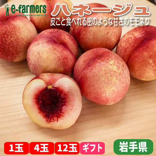 モモネク ハネージュ |  極甘 糖度20度超え 濃厚な甘さ 皮ごと食べられる 希少品種 数量限定 岩手県産