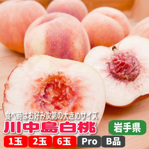 川中島白桃 お好み食感で楽しめる大きめサイズのフレッシュピーチ 岩手県産
