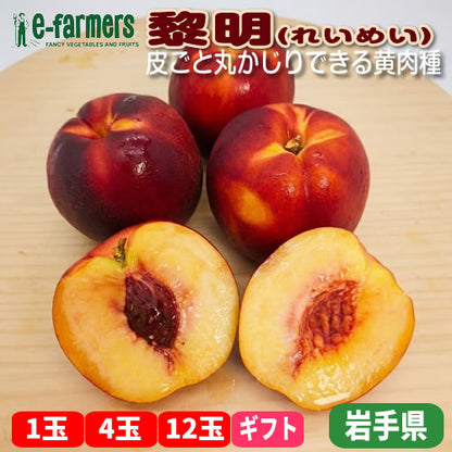 ネクタリン 黎明(れいめい) | 甘みと酸味が濃厚！皮ごと丸かじりできる黄肉種 岩手県産
