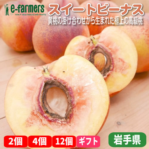 モモネク スイートピーナス  | 黄桃の掛け合わせから生まれた極上の高級桃 岩手県産