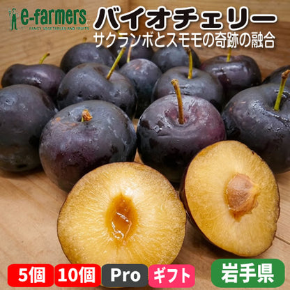 バイオチェリー | サクランボとスモモの奇跡の融合！甘酸っぱくジューシーな新感覚フルーツ 岩手県産