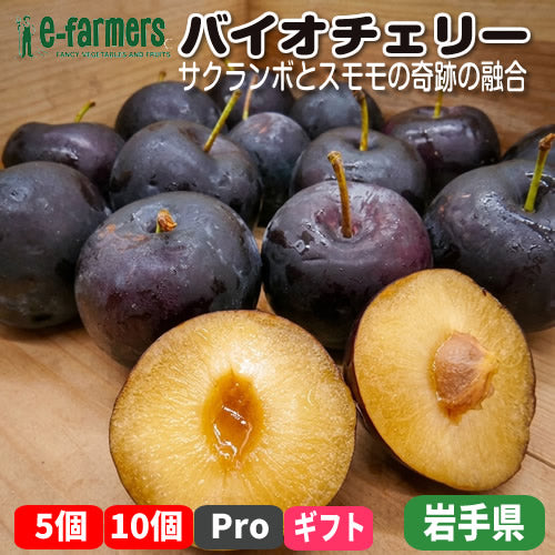 バイオチェリー | サクランボとスモモの奇跡の融合！甘酸っぱくジューシーな新感覚フルーツ 岩手県産