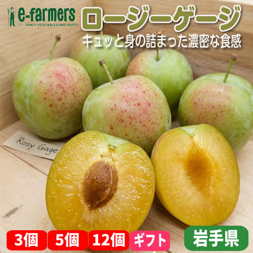 ロージーゲージ |  西洋プラム 希少品種 ケルシー譲りの濃密な歯ごたえ・爽快な甘酸っぱさ 岩手県産